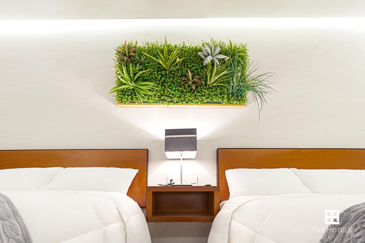 Hotel Urban 101 Chetumal Extérieur photo